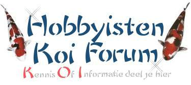 www.hobbyistenkoiforum.nl