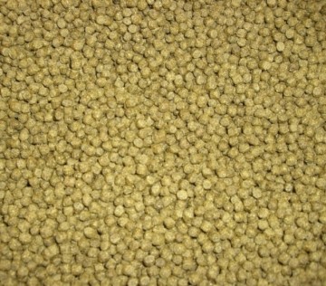 Nagasaki all season 15 kilo