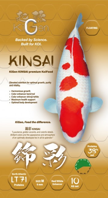 Kigen kinsai 4